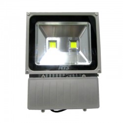PROYECTOR LED 100W IP65 6000K